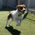 Photo of Tilly