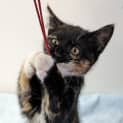Photo of Winifred