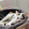 Photo of Padme
