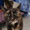 Photo of Imogen