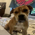 Photo of Sunni