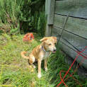 Photo of Ernie