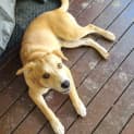 Photo of Ernie