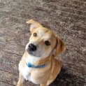 Photo of Ernie