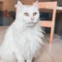Photo of Margot
