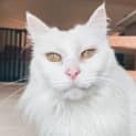 Photo of Margot