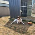 Photo of Molly