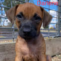 Photo of Darlene