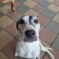Photo of Storm