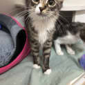 Photo of Penelope