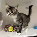 Photo of Penelope