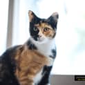 Photo of Mamma Hazel