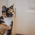 Photo of Mamma Hazel