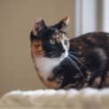 Photo of Mamma Hazel
