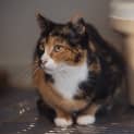 Photo of Mamma Hazel