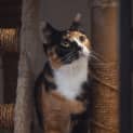Photo of Mamma Hazel
