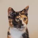 Photo of Mamma Hazel