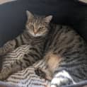 Photo of Ruby
