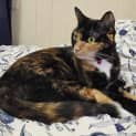 Photo of Willma