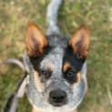 Photo of Molly