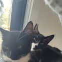 Photo of Klaus