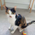 Photo of Kira