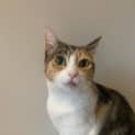 Photo of Allora