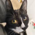 Photo of Clawdia