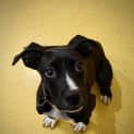 Photo of Castiel