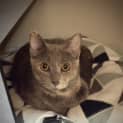 Photo of Frankie