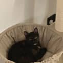 Photo of Hazel