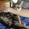 Photo of Sabre