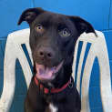 Photo of Bentley
