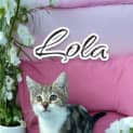 Photo of Lola