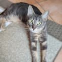 Photo of Trudy