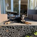 Photo of Tillypop