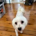 Photo of Flash