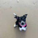 Photo of Milly