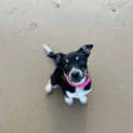 Photo of Milly