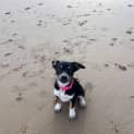 Photo of Milly