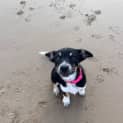 Photo of Milly