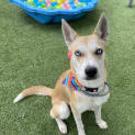 Photo of Maggie