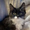 Photo of Betty