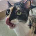 Photo of Milly