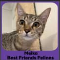 Photo of Meika