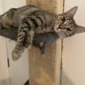 Photo of Meika