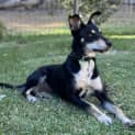 Photo of Roxy