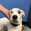 Photo of Missie 