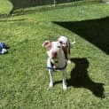 Photo of Winnie