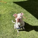 Photo of Winnie